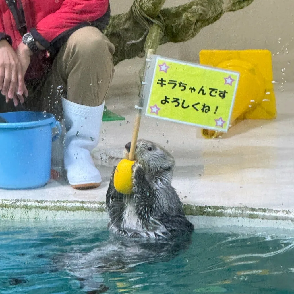 鳥羽水族館に行ってきました!